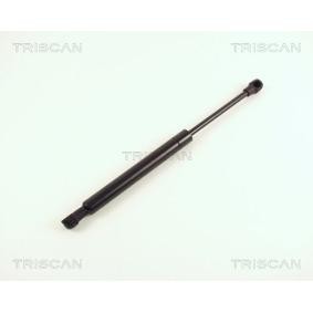 Heckklappendämpfer 8710 16231 von TRISCAN günstig für 29,73 € online kaufen