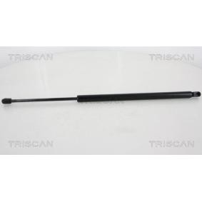 Heckklappendämpfer 8710 40232 von TRISCAN günstig für 32,85 € online kaufen