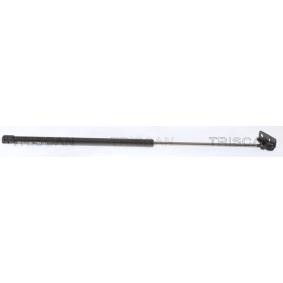 Heckklappendämpfer 8710 43203 von TRISCAN günstig für 29,33 € online kaufen