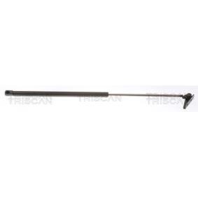 Heckklappendämpfer 8710 43204 von TRISCAN günstig für 28,36 € online kaufen