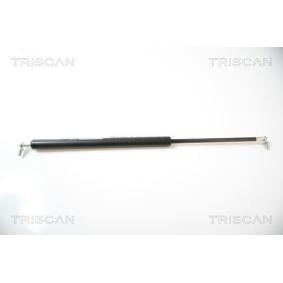 Heckklappendämpfer für HYUNDAI von TRISCAN