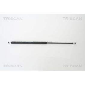 Heckklappendämpfer 8710 43215 von TRISCAN günstig für 28,97 € online kaufen