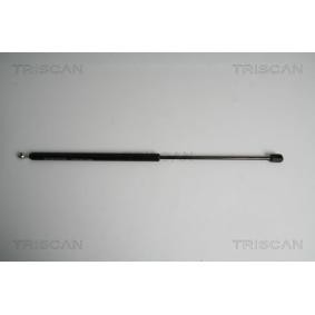 Heckklappendämpfer 8710 43227 von TRISCAN günstig für 22,97 € online kaufen