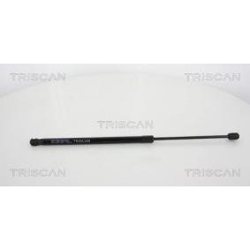 Heckklappendämpfer 8710 43229 von TRISCAN günstig für 96,18 € online kaufen