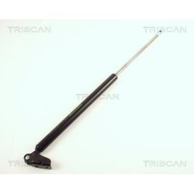 Heckklappendämpfer 8710 50223 von TRISCAN günstig für 83,25 € online kaufen