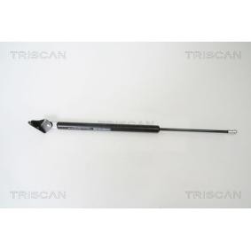 Heckklappendämpfer 8710 50239 von TRISCAN günstig für 44,03 € online kaufen