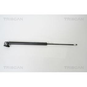 Heckklappendämpfer 8710 50240 von TRISCAN günstig für 44,03 € online kaufen