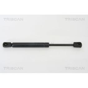 Heckklappendämpfer 8710 50242 von TRISCAN günstig für 17,42 € online kaufen