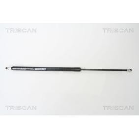 Heckklappendämpfer 8710 50243 von TRISCAN günstig für 62,98 € online kaufen