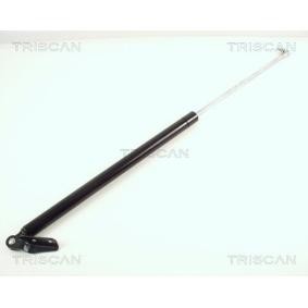 Heckklappendämpfer 8710 68204 von TRISCAN günstig für 71,09 € online kaufen