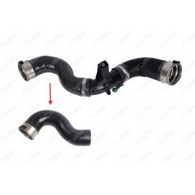 Compre Tubo flexível do ar de sobrealimentação da NIFEA 12778 a um preço baixo por 70,35 €