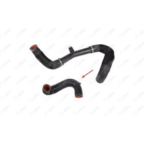 Compre Tubo flexível do ar de sobrealimentação da NIFEA 14778 a um preço baixo por 134,78 €