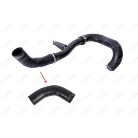 Compre Tubo flexível do ar de sobrealimentação da NIFEA 14790 a um preço baixo por 29,54 €