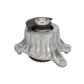 Compre Apoio do motor de REINHOCH online para CLS (C257) a preços moderados