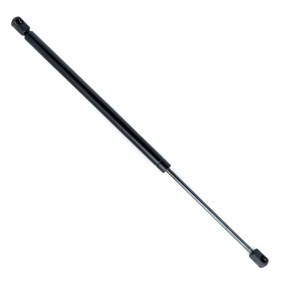 Heckklappendämpfer EP10081GS von EINPARTS günstig für 11,88 € online kaufen