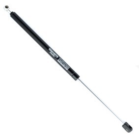 Heckklappendämpfer EP10263GS von EINPARTS günstig für 12,96 € online kaufen