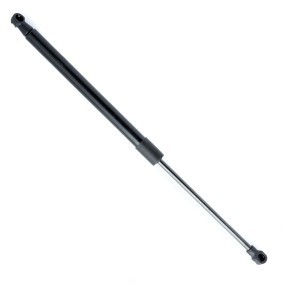 Heckklappendämpfer EP10524GS von EINPARTS günstig für 13,89 € online kaufen