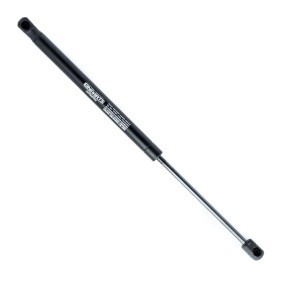Heckklappendämpfer EP9180GS von EINPARTS günstig für 13,60 € online kaufen