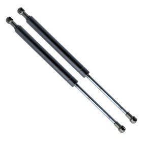 Motorhaubendämpfer für BMW von EINPARTS