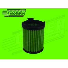Acquista Filtro aria sportivo da GREEN online per Ibiza IV Sportcoupe (6J, 6P) a prezzi moderati