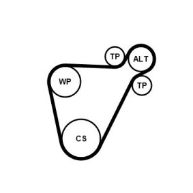Compre Jogo de correias trapezoidais estriadas da CONTITECH 8PK954 EXTRA K1 a um preço baixo por 217,19 €