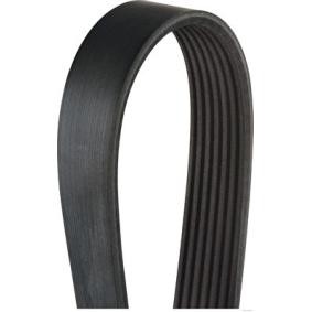 Comprar Correa trapecial poli V de HERTH+BUSS JAKOPARTS J1071570 a bajo precio de 13,98 €
