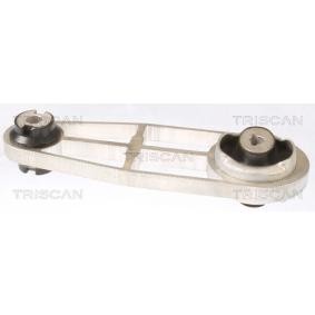 Compre Suporte, motor da TRISCAN 8505 10114 a um preço baixo por 32,46 €