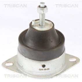 Compre Suporte, motor da TRISCAN 8505 10119 a um preço baixo por 50,99 €