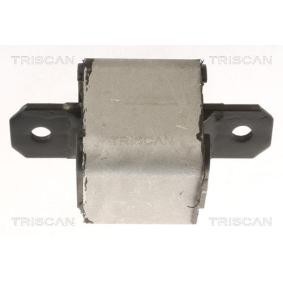Compre Suporte, motor da TRISCAN 8505 10120 a um preço baixo por 31,64 €