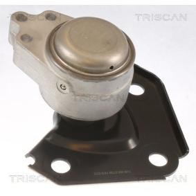 Compre Suporte, motor da TRISCAN 8505 10136 a um preço baixo por 90,07 €