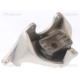 Compre Suporte, motor da TRISCAN 8505 15102 a um preço baixo por 48,82 €