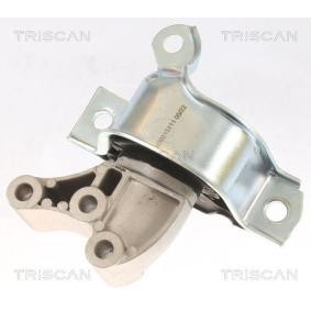 Compre Suporte, motor da TRISCAN 8505 15111 a um preço baixo por 78,30 €