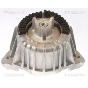 Compre Suporte, motor da TRISCAN 8505 23101 a um preço baixo por 94,45 €