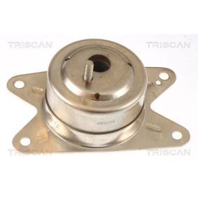 Compre Suporte, motor da TRISCAN 8505 24111 a um preço baixo por 37,95 €