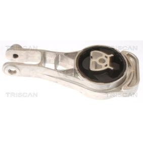 Acquista Supporto motore da TRISCAN online per Cobalt II a prezzi moderati