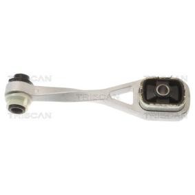 Compre Suporte, motor da TRISCAN 8505 25108 a um preço baixo por 21,93 €