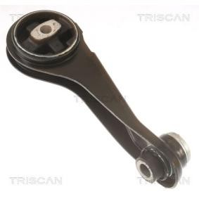 Compre Suporte, motor da TRISCAN 8505 25125 a um preço baixo por 23,02 €