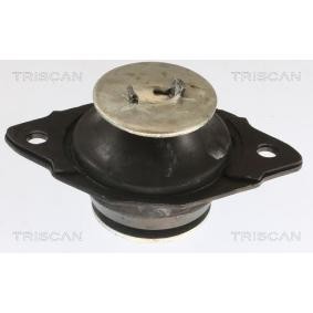Compre Suporte, motor da TRISCAN 8505 29161 a um preço baixo por 51,13 €