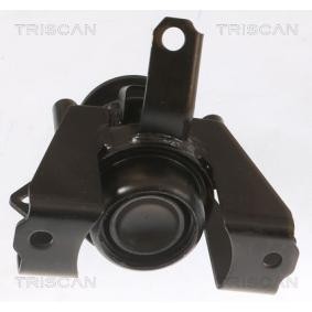 Compre Suporte, motor da TRISCAN 8505 42101 a um preço baixo por 102,63 €