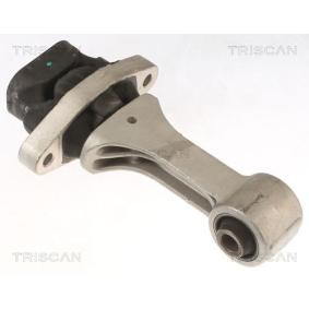 Compre Suporte, motor da TRISCAN 8505 43109 a um preço baixo por 84,79 €