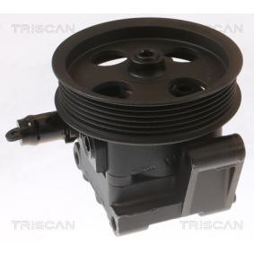 Achetez des Pompe de direction assistée TRISCAN 8515 27619 à prix pour 305,23 €