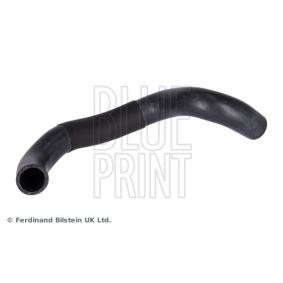 Compre Manguito de radiador de BLUE PRINT online para Camry Berlina (_V5_) a precios moderados