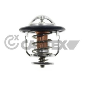 Comprar Termostato, refrigerante de CAUTEX 774582 a bajo precio de 13,09 €