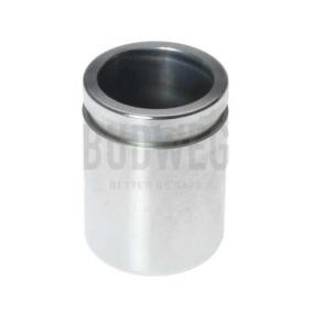 Achetez des Piston d'étrier de frein de chez BUDWEG CALIPER en ligne pour Legend II Berline (KA) à prix modérés