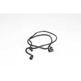 Comprar Tubería de combustible de BSG BSG 25-725-024 a bajo precio de 46,72 €