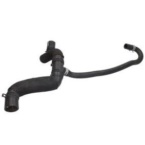 Spannrolle, Keilriemen des Herstellers THERMOTEC - Originalware Artikelnummer: DWG158TT