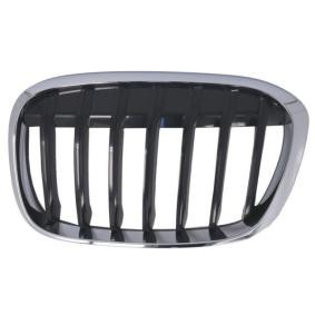 Kühlergrill für BMW von BLIC