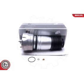 Compre Mola pneumática da ESEN SKV 58SKV061 a um preço baixo por 423,41 €