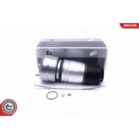Compre Mola pneumática da ESEN SKV 58SKV062 a um preço baixo por 287,23 €