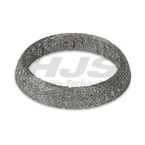Dichtring, Abgasrohr 83 15 7130 von HJS günstig für 4,93 € online kaufen